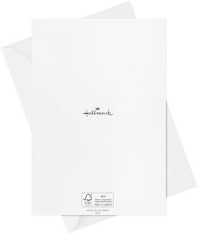 Hallmark Elegant All Occasion Card Assortment 12 Cards with Envelopes