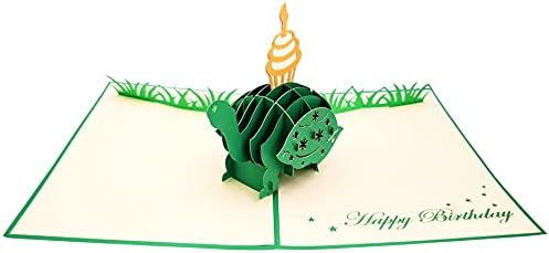 Funny Birthday Turtle 3D Pop Up Card - Belated Celebration Gift