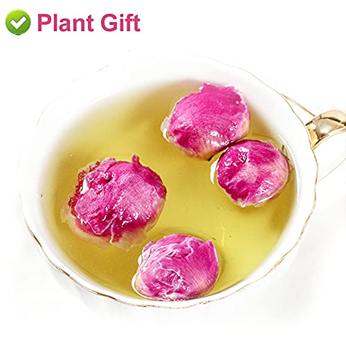 PlantGift Fragrant Peony Ball 50G for Soap Making and Crafts