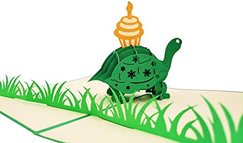 Funny Birthday Turtle 3D Pop Up Card - Belated Celebration Gift