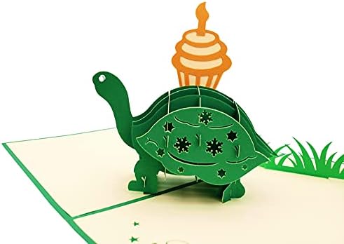 Funny Birthday Turtle 3D Pop Up Card - Belated Celebration Gift