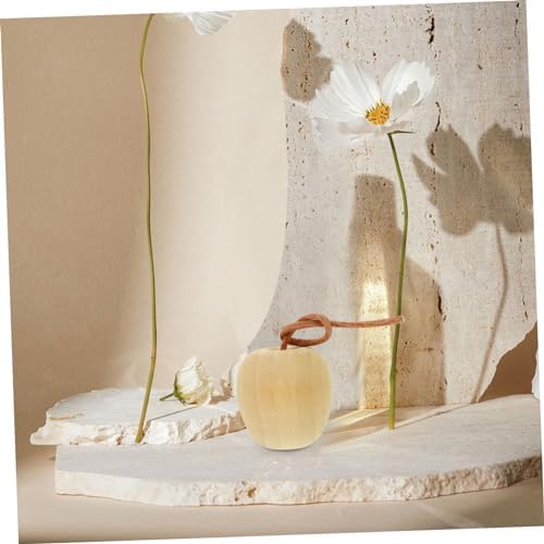 ABOOFAN 4pcs Unpainted Wood Fruit Decor DIY Kit