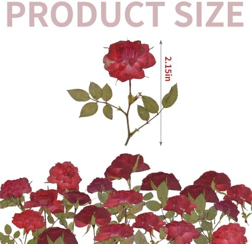 Pressed Rose 24PCS Natural Red Rose for Crafts