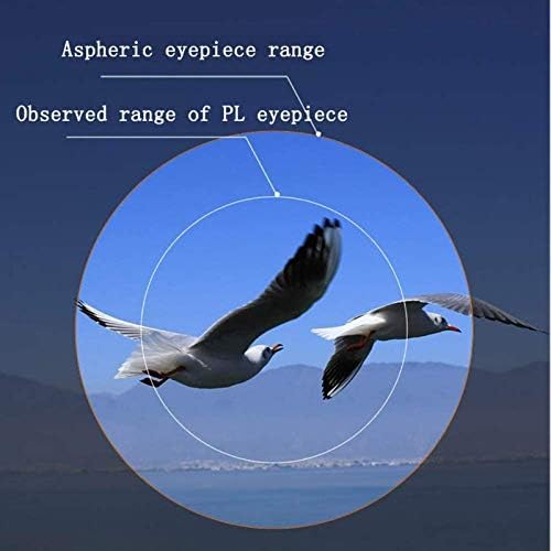 Beginners Astronomy Telescope 80Mm Portable Refractor for Camping and Kids
