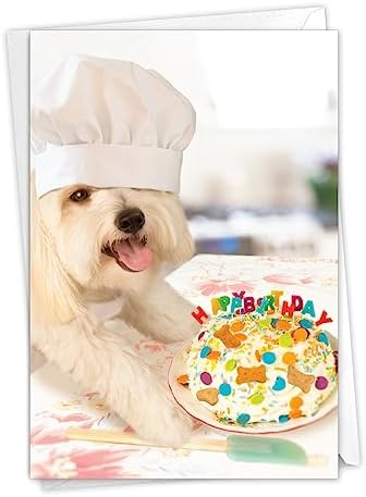 NobleWorks Funny Birthday Card with Envelope