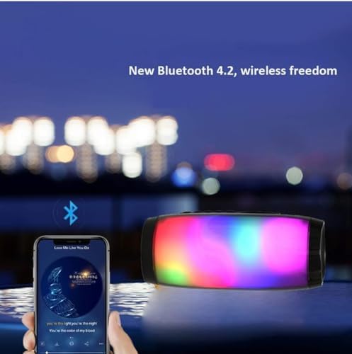 Generic Portable Bluetooth Speaker with Lanyard and IPX7 Waterproof Black