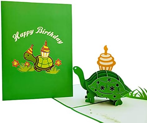 Funny Birthday Turtle 3D Pop Up Card - Belated Celebration Gift
