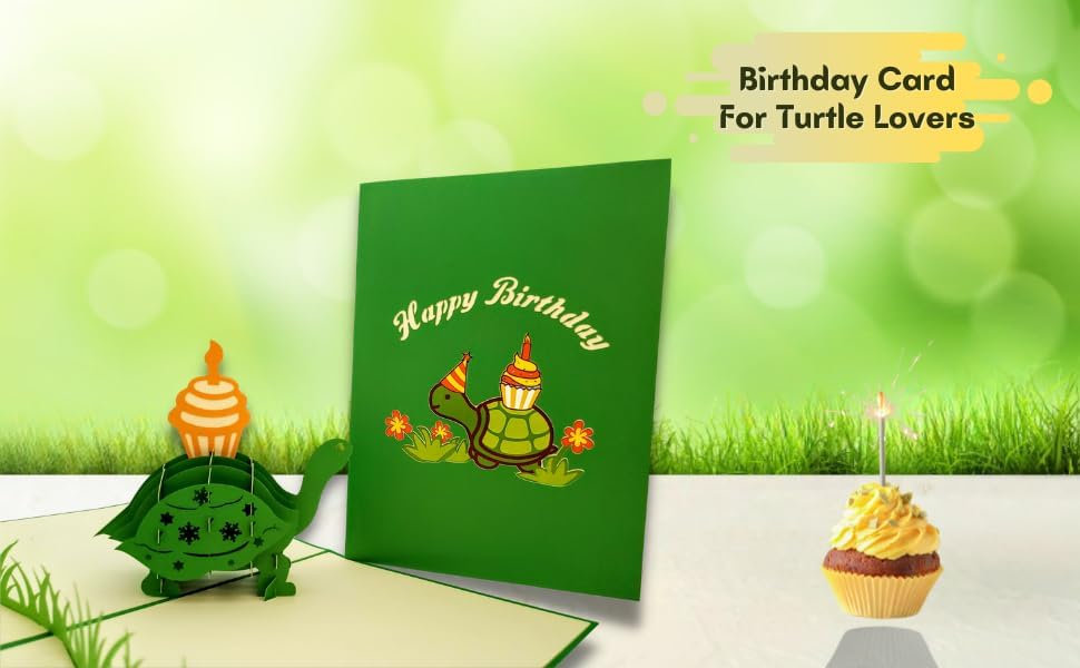 Funny Birthday Turtle 3D Pop Up Card - Belated Celebration Gift