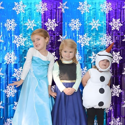 Winter Princess Party Decorations 2 Pack Tinsel Foil Curtains