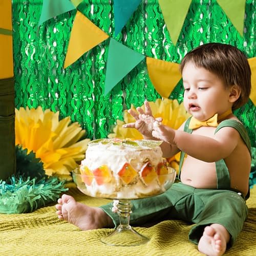 Green Tinsel Foil Fringe Curtain for Party Backdrop