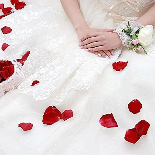 Dried Red Rose Petals 175oz for Bath Soap Crafts Wedding Confetti