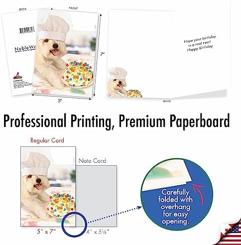 NobleWorks Funny Birthday Card with Envelope