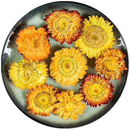 TooGet Fragrant Strawflower Dried Flowers for Decor and Crafts