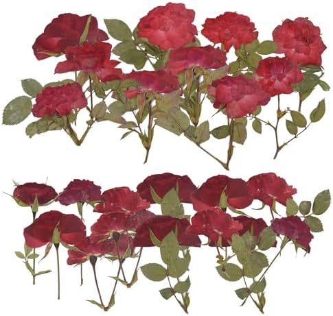 Pressed Rose 24PCS Natural Red Rose for Crafts