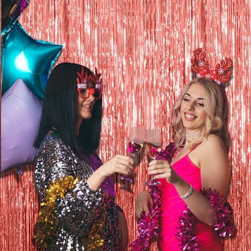 2 Pack Rose Gold Fringe Backdrop Decorations