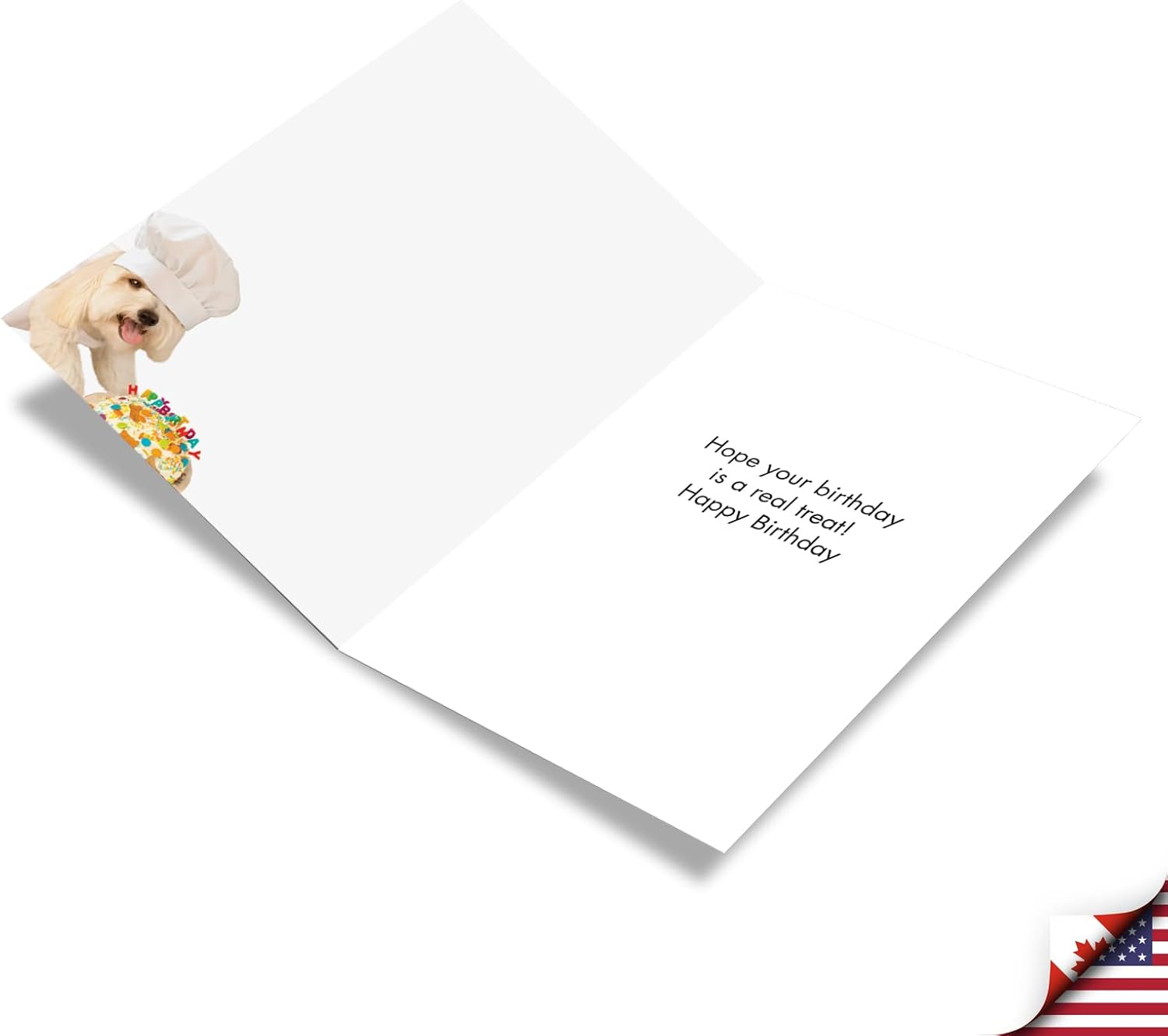 NobleWorks Funny Birthday Card with Envelope