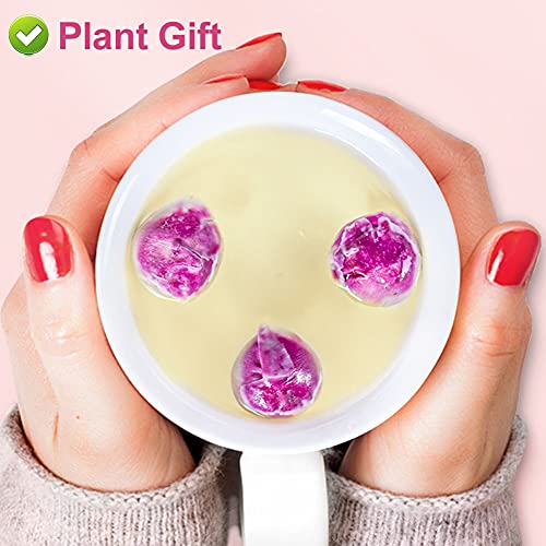 PlantGift Fragrant Peony Ball 50G for Soap Making and Crafts