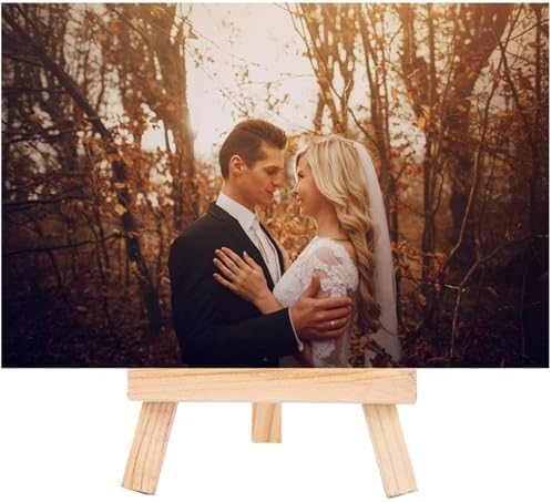 EBOOT 12 Pack Mini Wood Display Easel 5 Inch