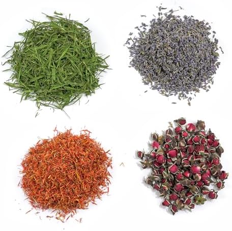 Natural Dried Fruit and Flower Kit for DIY Crafts