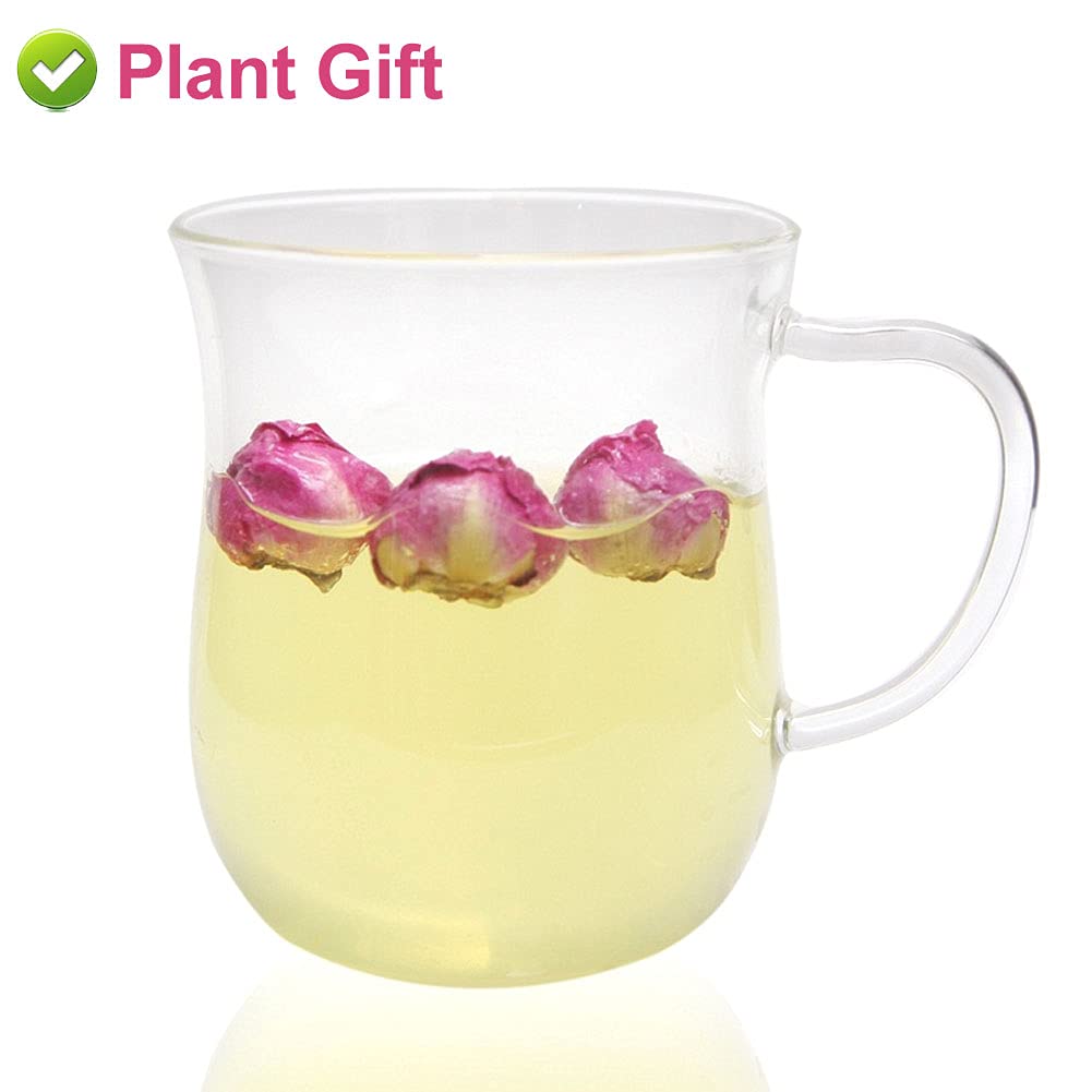 PlantGift Fragrant Peony Ball 50G for Soap Making and Crafts