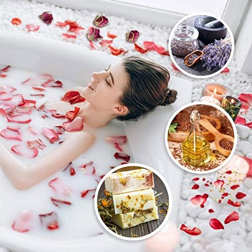 9 Bags Natural Dried Flowers Kit for Soap and Candle Making