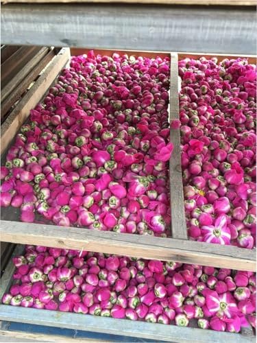 TooGet Dried Natural Flowers for Soap Making and Crafts