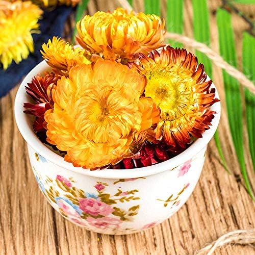 TooGet Fragrant Strawflower Dried Flowers for Decor and Crafts