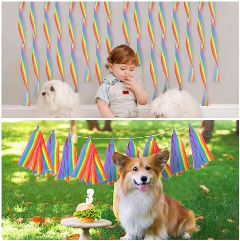 Epakh 5 Rolls Rainbow Crepe Paper Streamers 165 Ft