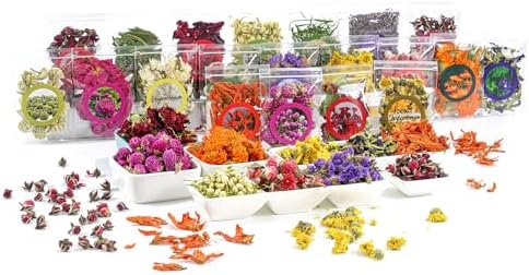Natural Dried Fruit and Flower Kit for DIY Crafts