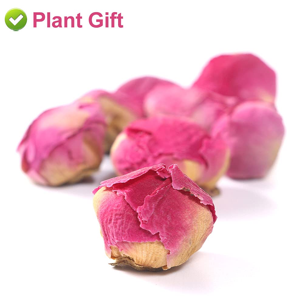 PlantGift Fragrant Peony Ball 50G for Soap Making and Crafts