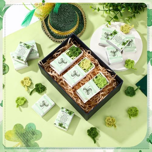 Wettarn 24 Piece St Patricks Day Gift Set