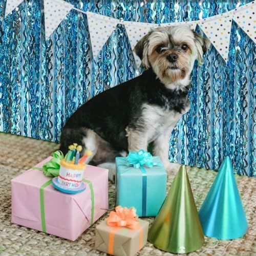 Blue Foil Fringe Curtain Party Backdrop
