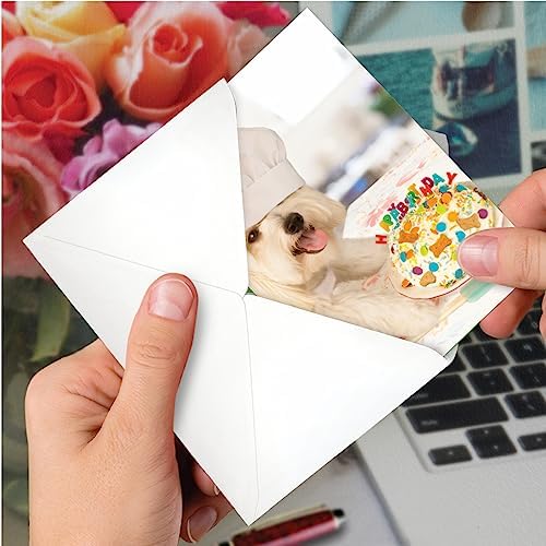 NobleWorks Funny Birthday Card with Envelope