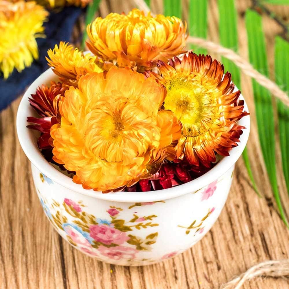 TooGet Fragrant Strawflower Dried Flowers for Decor and Crafts