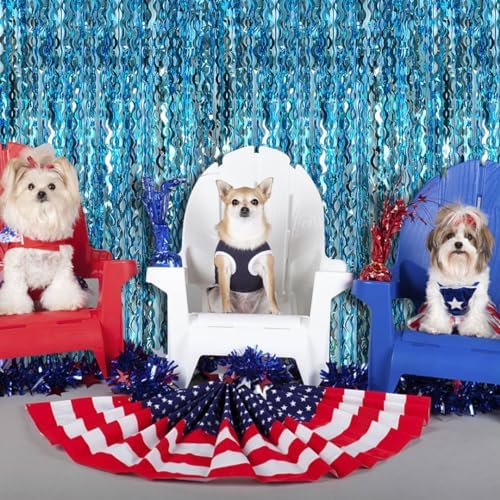 Blue Foil Fringe Curtain Party Backdrop