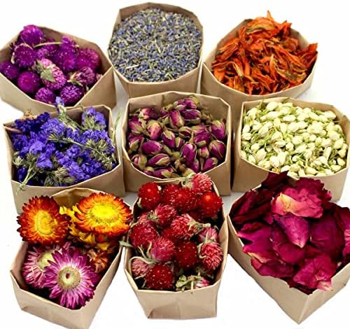 9 Bags Set of Natural Dried Flowers for Crafts
