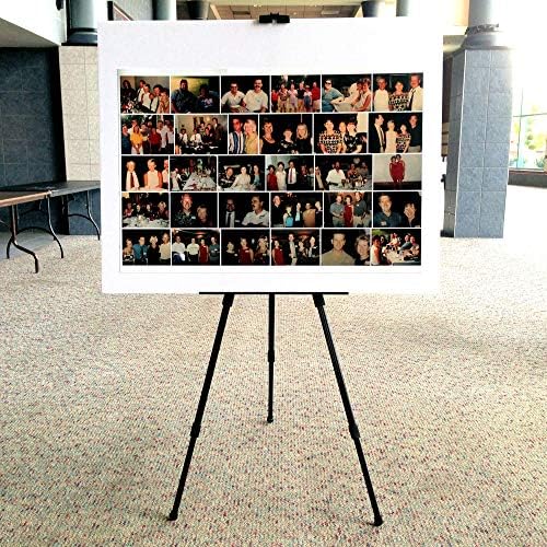 Berland Black Aluminum 71 Inch Easel with Carry Bag