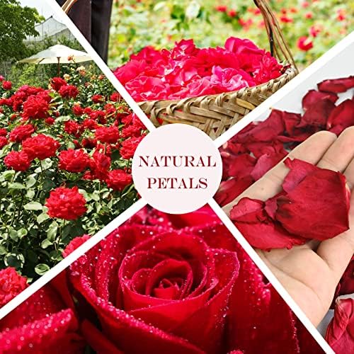 Sukh 3oz Dried Rose Petals for Crafts and Bath Use