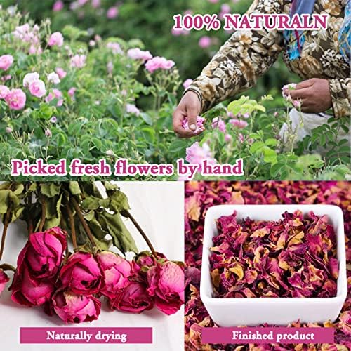 SACATR Dried Flowers 50 Bag Natural Herb Kit for Crafts