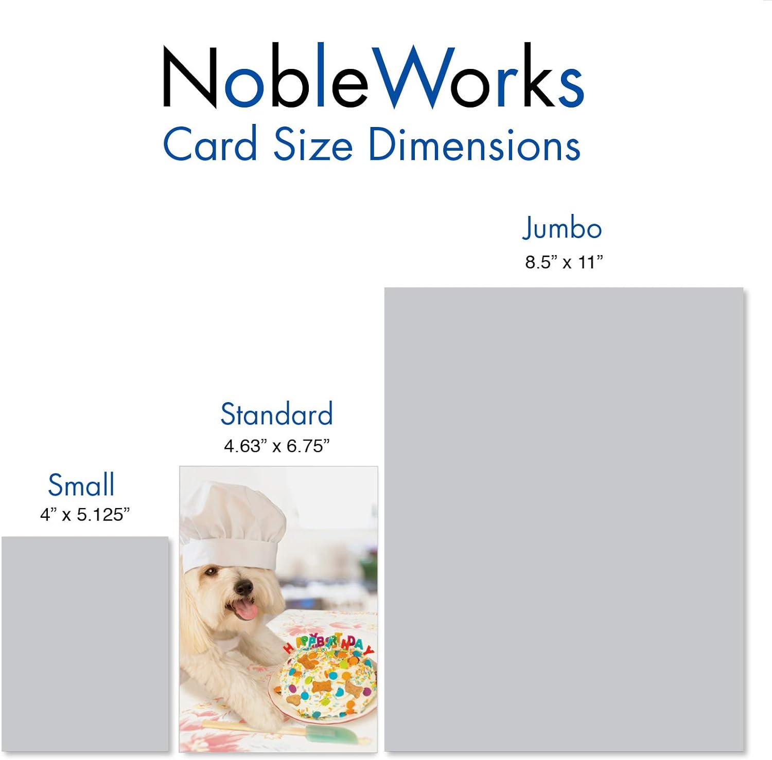 NobleWorks Funny Birthday Card with Envelope