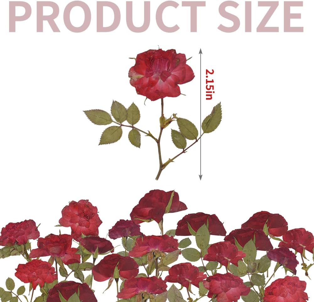 Pressed Rose 24PCS Natural Red Rose for Crafts