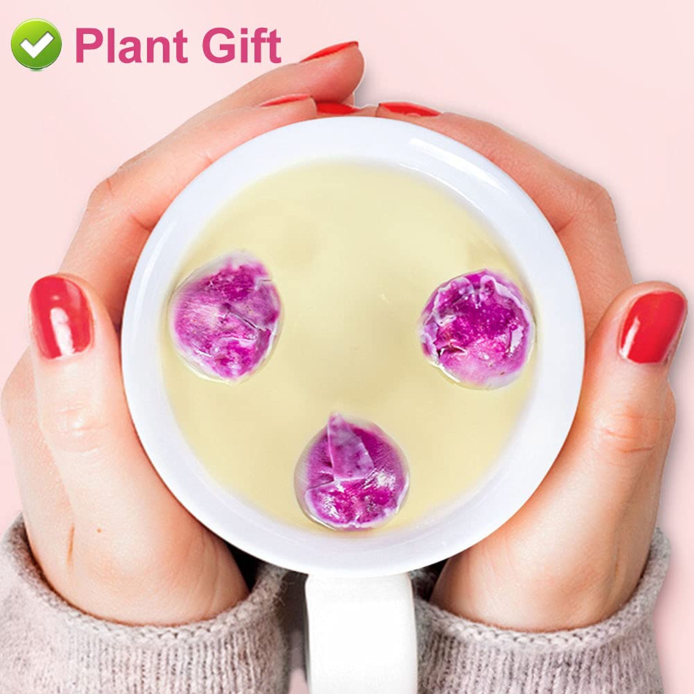 PlantGift Fragrant Peony Ball 50G for Soap Making and Crafts