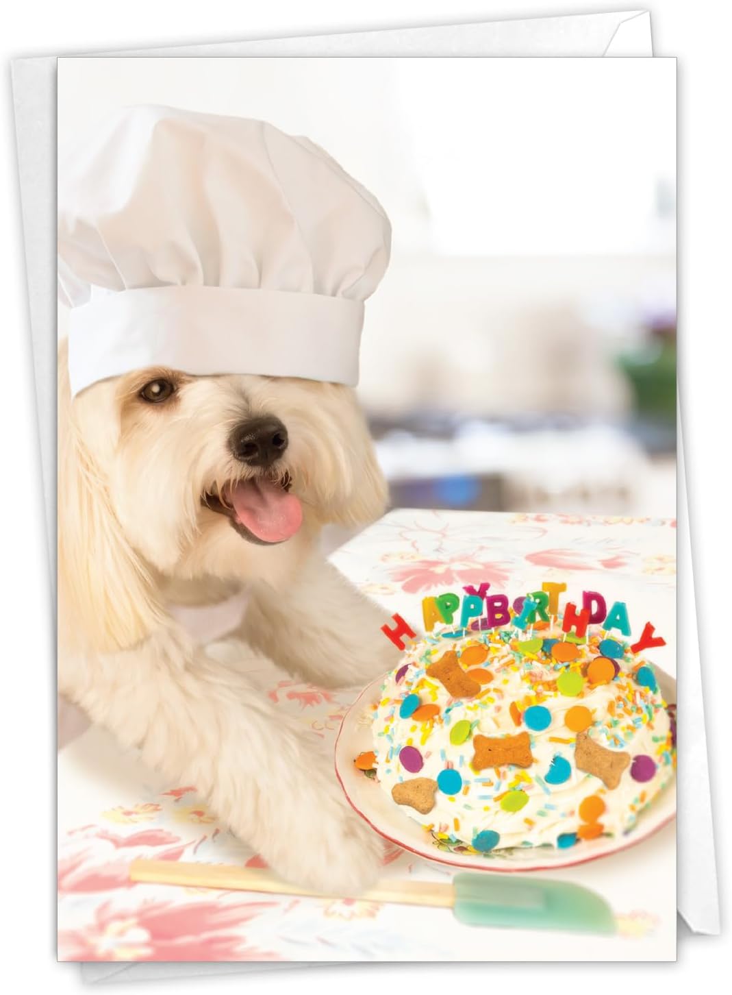 NobleWorks Funny Birthday Card with Envelope
