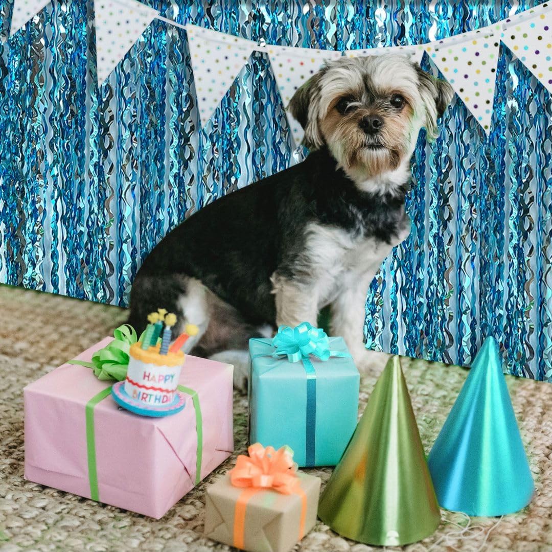 Blue Foil Fringe Curtain Party Backdrop