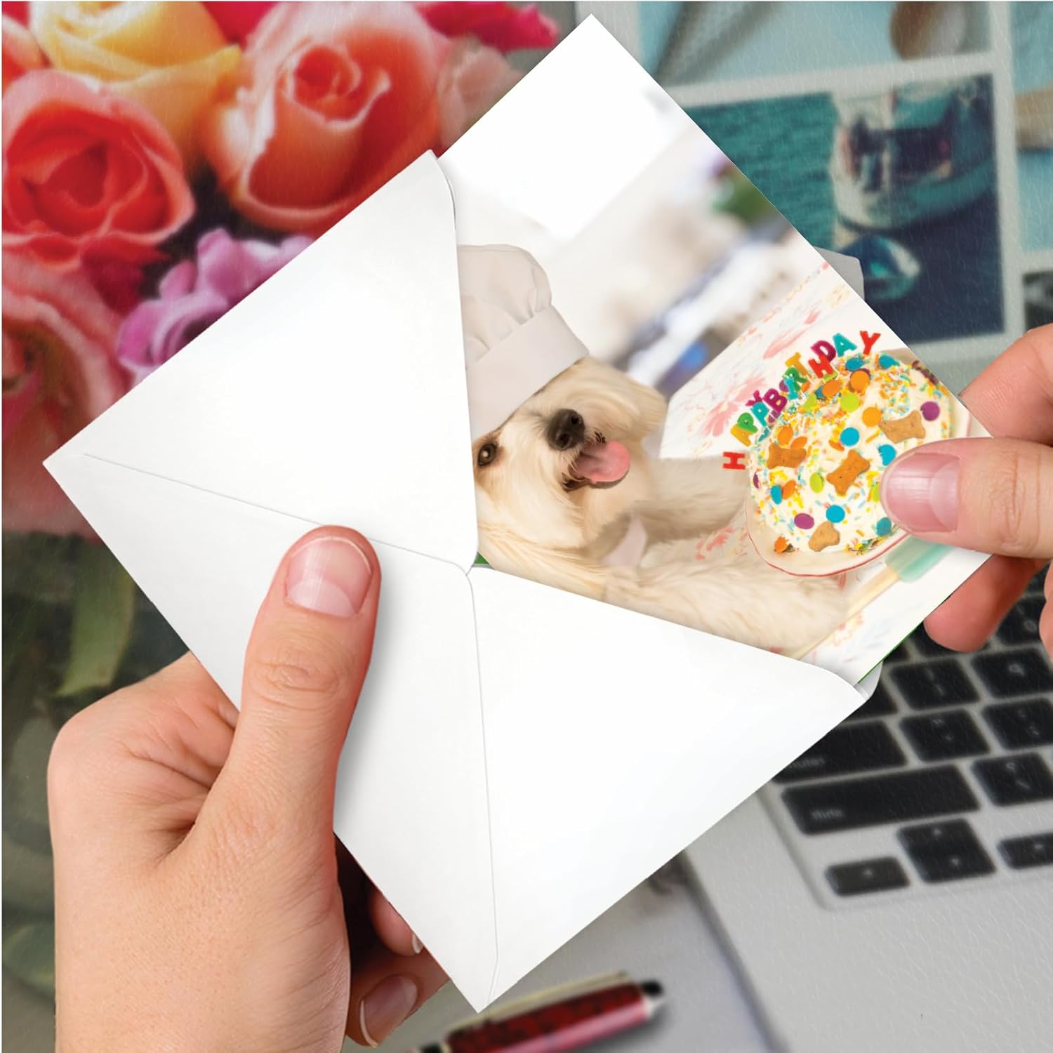 NobleWorks Funny Birthday Card with Envelope