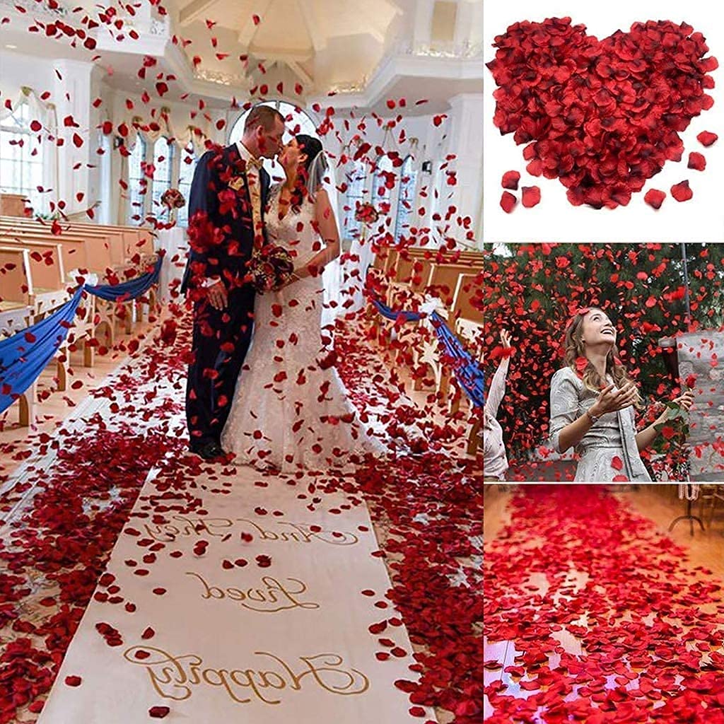 100g Natural Dried Rose Petals for Bath Spa and Crafts