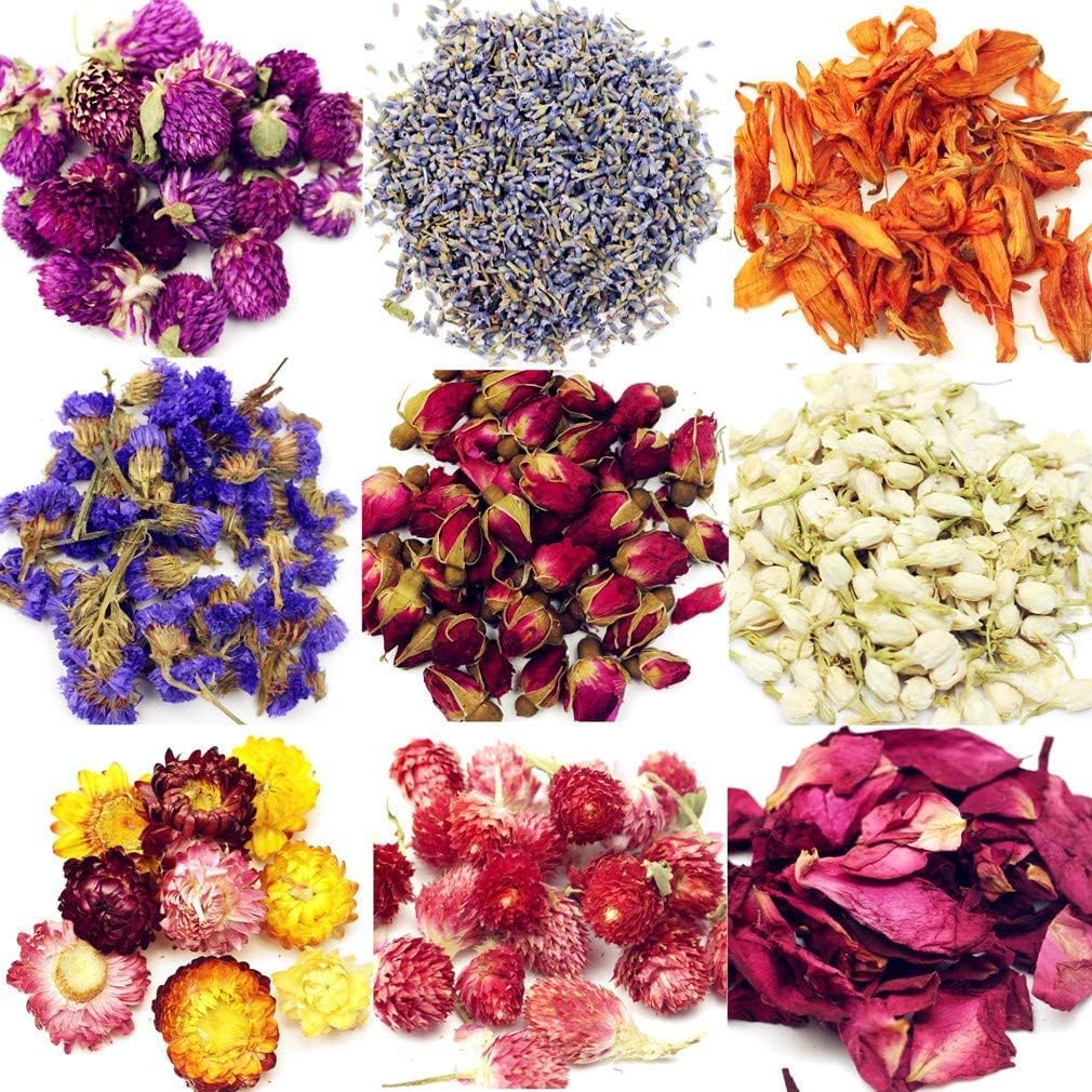 9 Bags Set of Natural Dried Flowers for Crafts