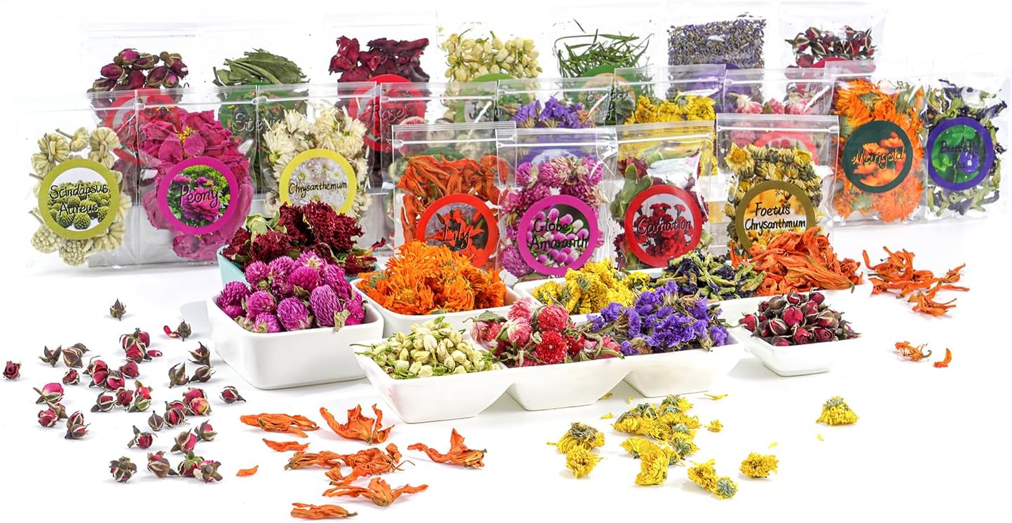Natural Dried Fruit and Flower Kit for DIY Crafts