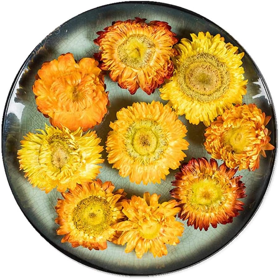 TooGet Fragrant Strawflower Dried Flowers for Decor and Crafts