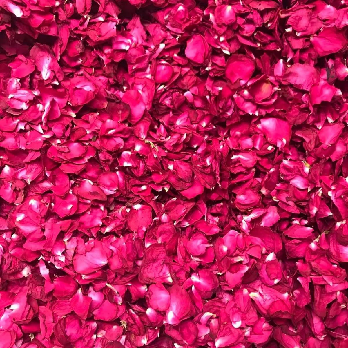 Dried Rose Petals 50g Natural Fragrant for Bath Spa DIY Crafts